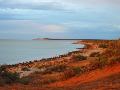 View from our tent – Francois Peron NP