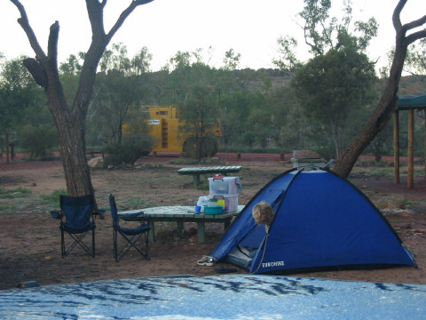 A Dingo in the tent!
