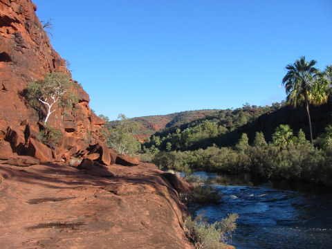 Palm Valley
