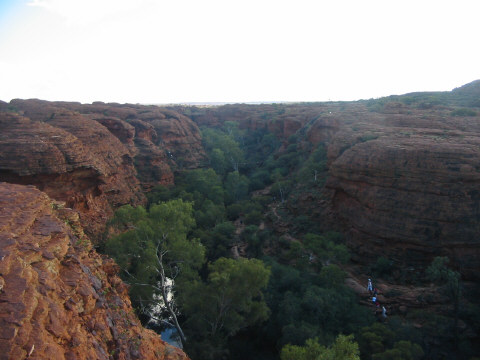 The Garden of Eden!